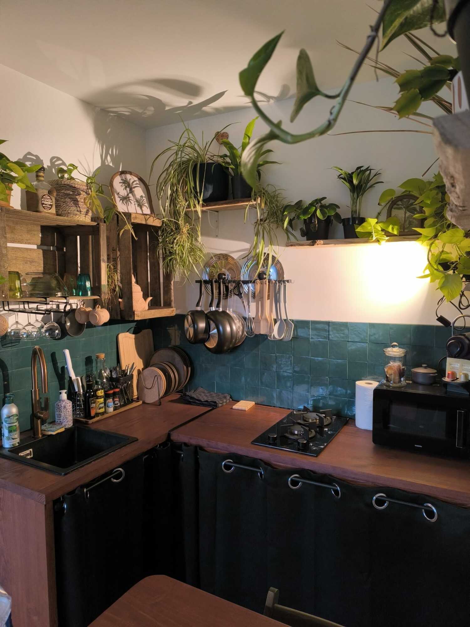 WhatsApp Image 2024-12-28 à 15.13.34_fb020c9d.jpg