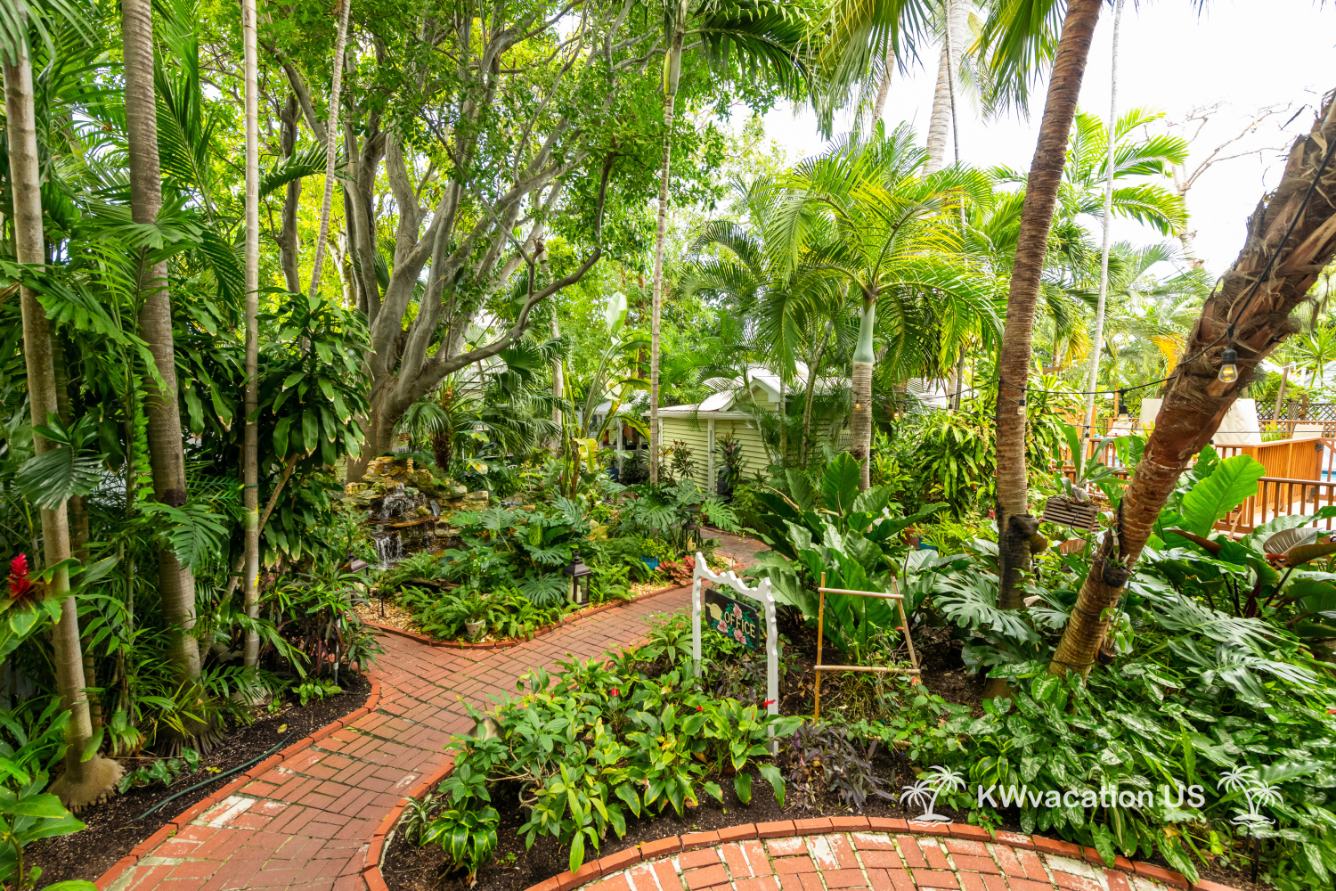 Vlad (1 of 8)NDP-7953.jpg