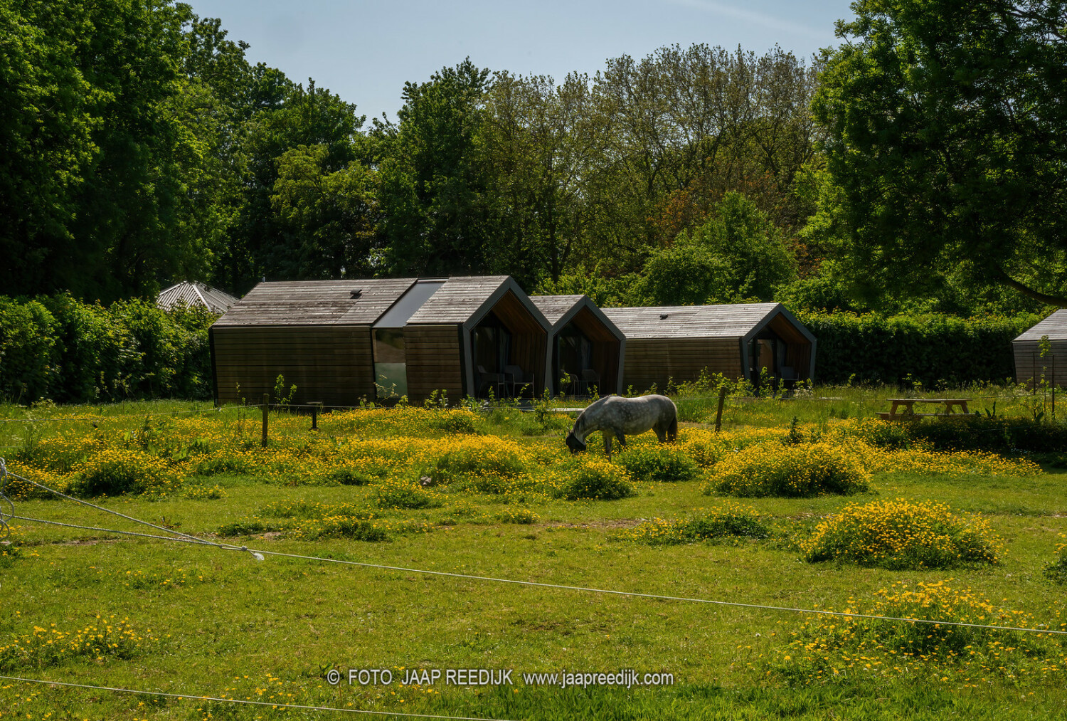 Diamondsuites All.jpg