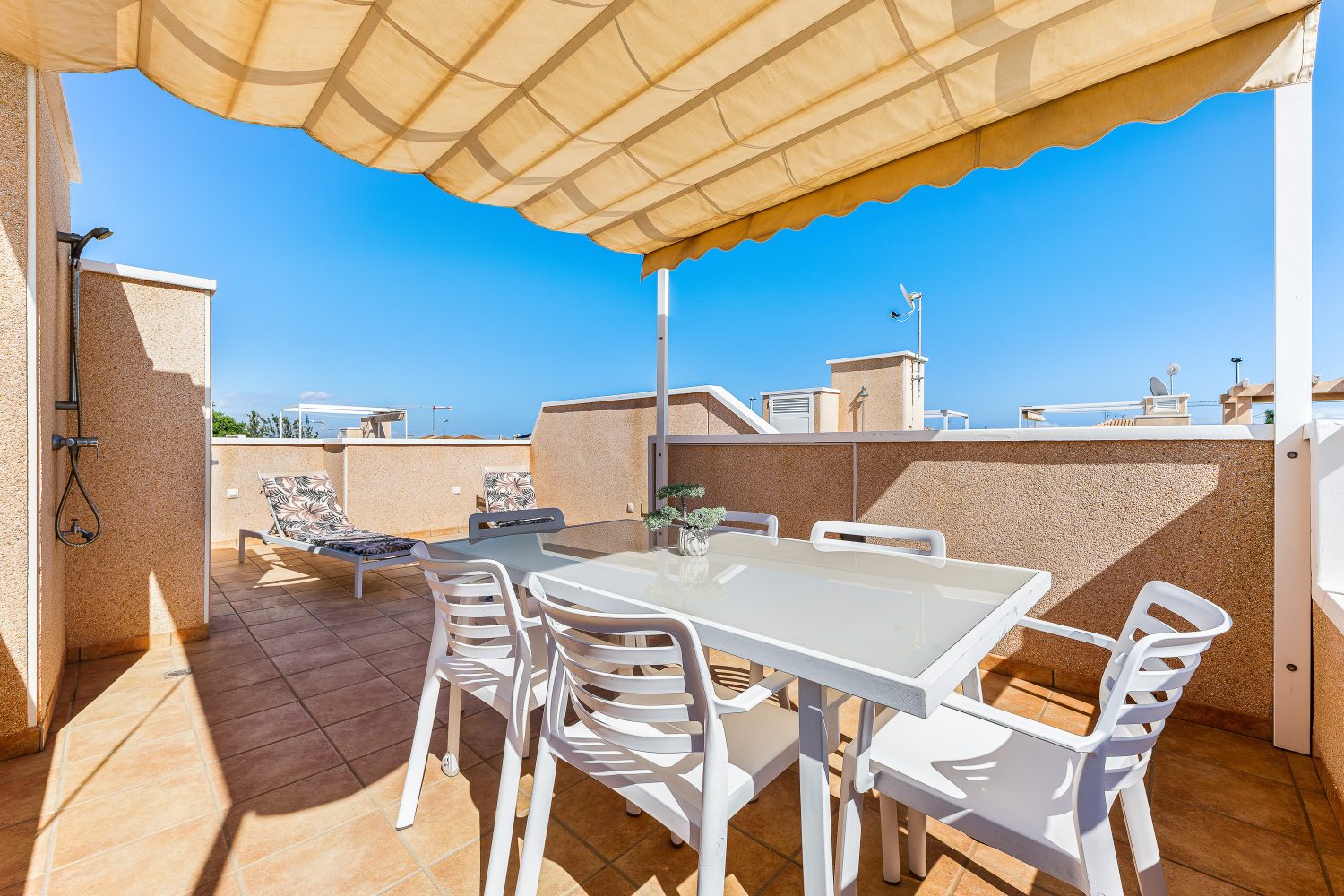 Gladiolo 52 - Pilar de Horadada (31).jpg