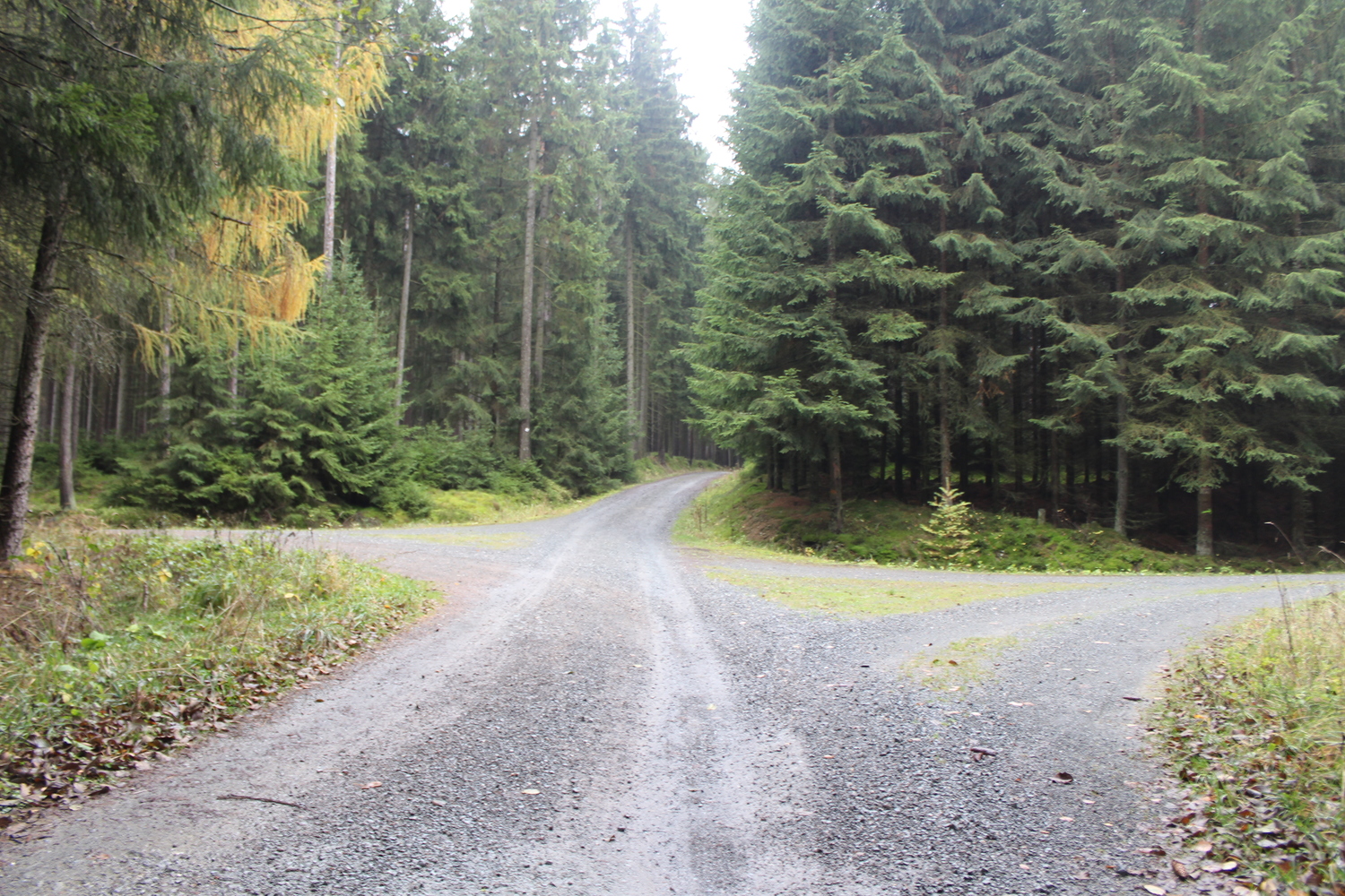 Natur Tanna (15).JPG