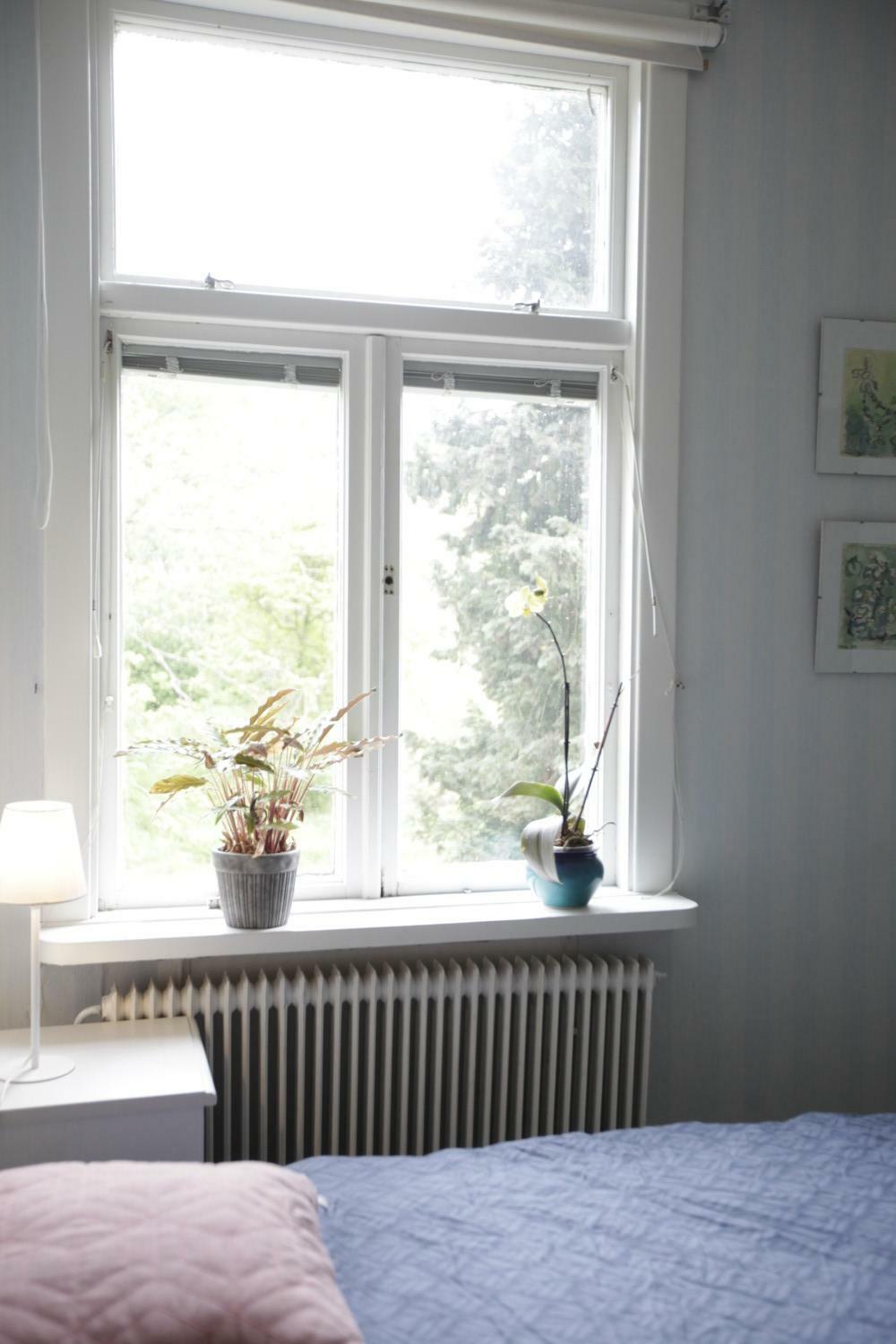 2022-05-22 15.15.22.jpg