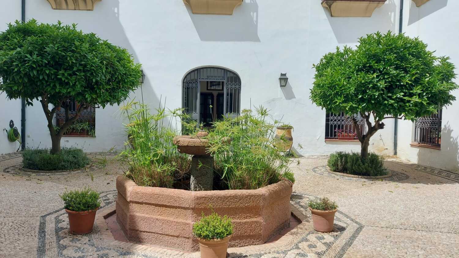 WhatsApp Image 2021-05-16 at 17.42.34 (2).jpeg