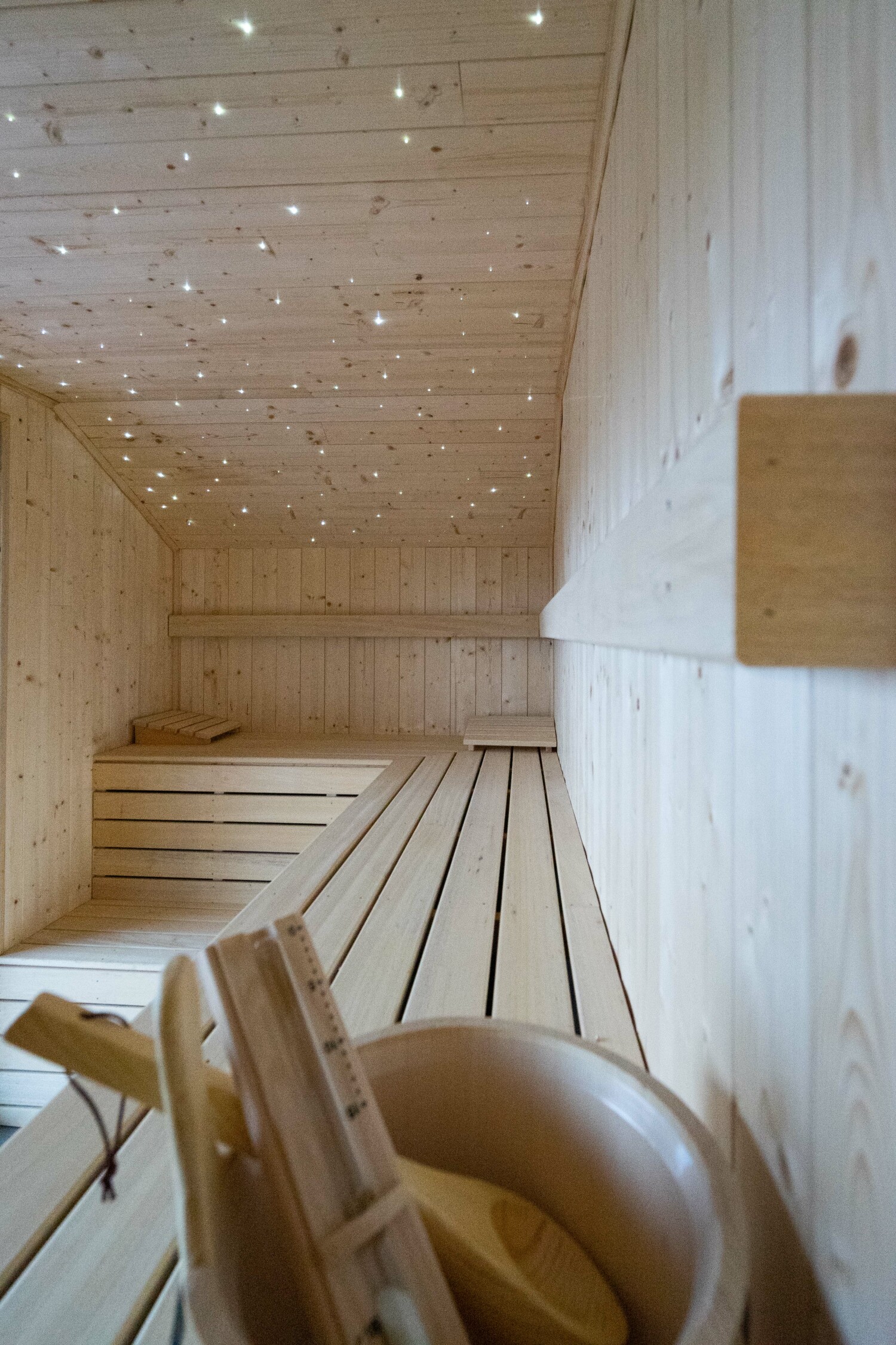 Bridge into the Nature Web-02877.jpg