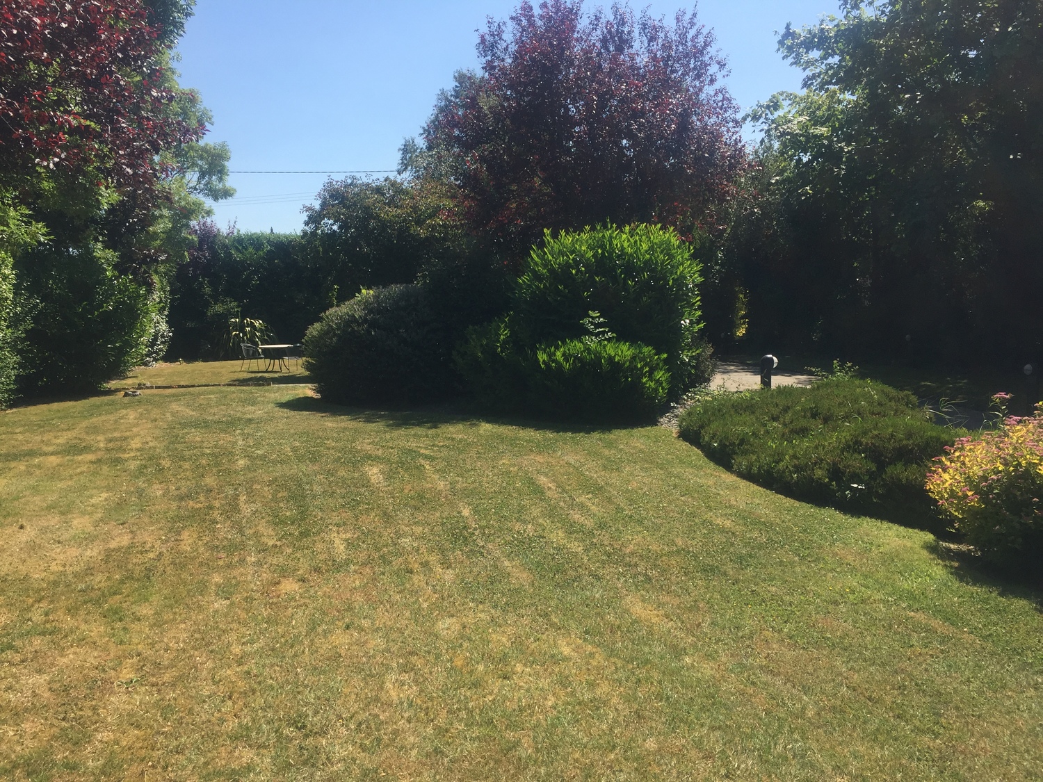 Garden and Table.JPG