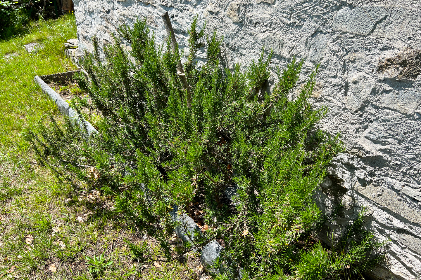 eremo del rico-14.jpg