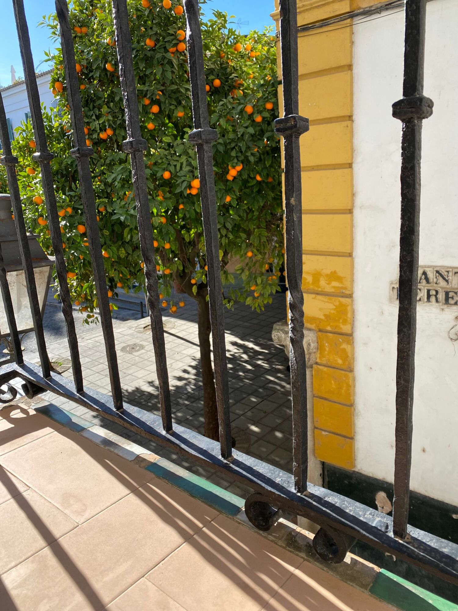 WhatsApp Image 2021-12-16 at 11.14.21.jpeg