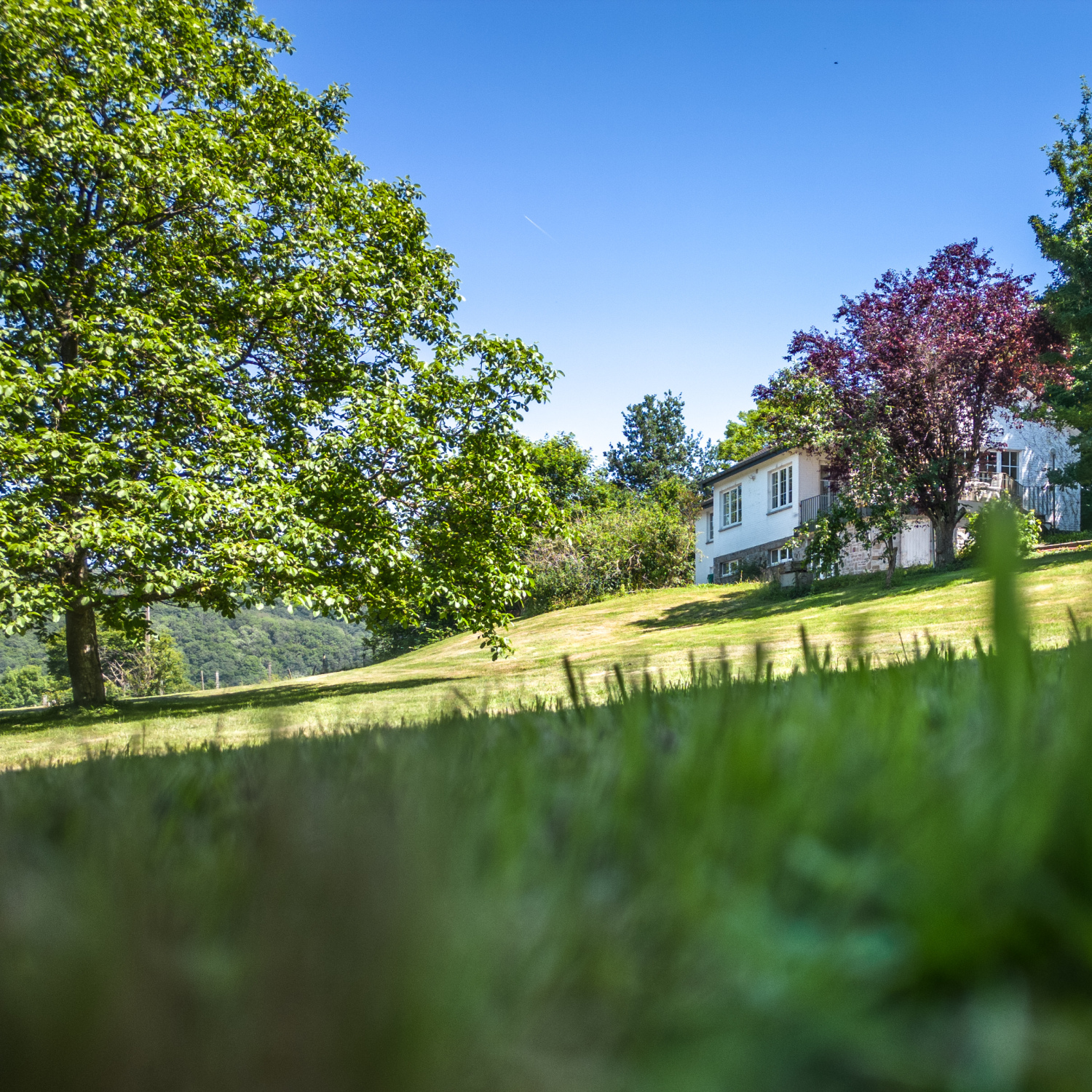 Au paradis Rendeux Web-0001.jpg