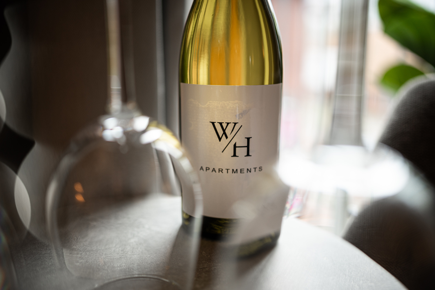 Foto 19.01.25, 13 15 38.jpg