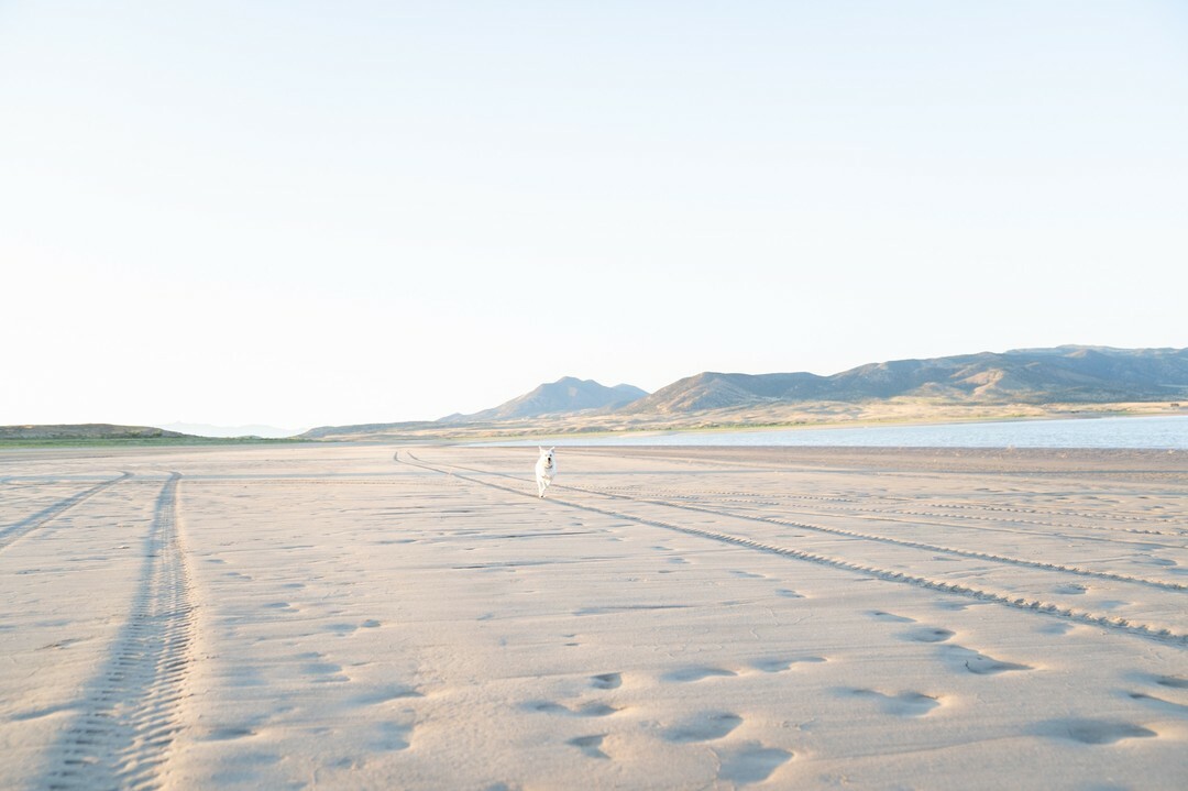 327283968_192526690113450_8353653380665504278_n (1).jpg