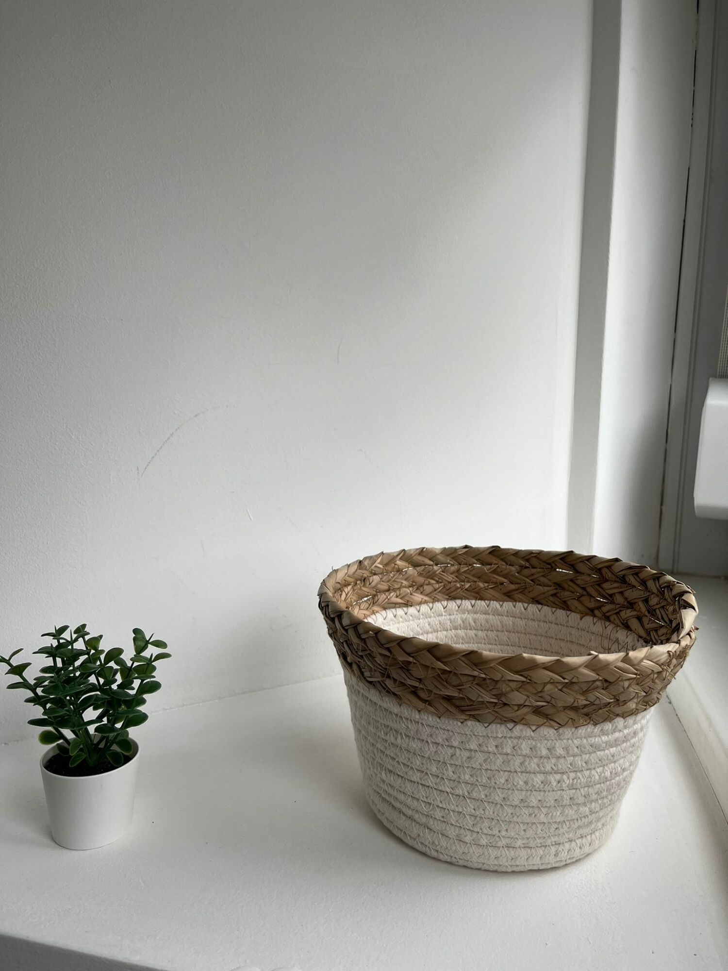 PHOTO-2024-04-19-19-42-05 2.jpg