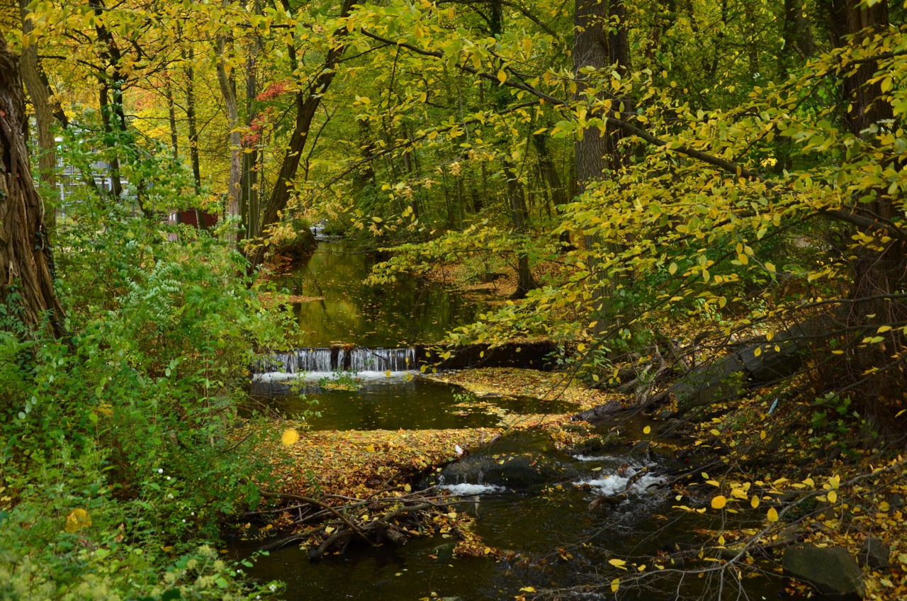 Bodetaleingang 4.jpg