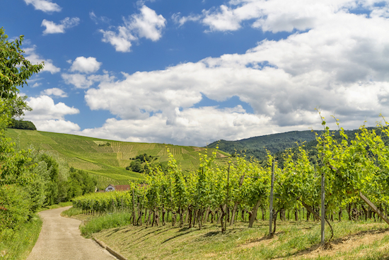 33 shutterstock_202641805.jpg