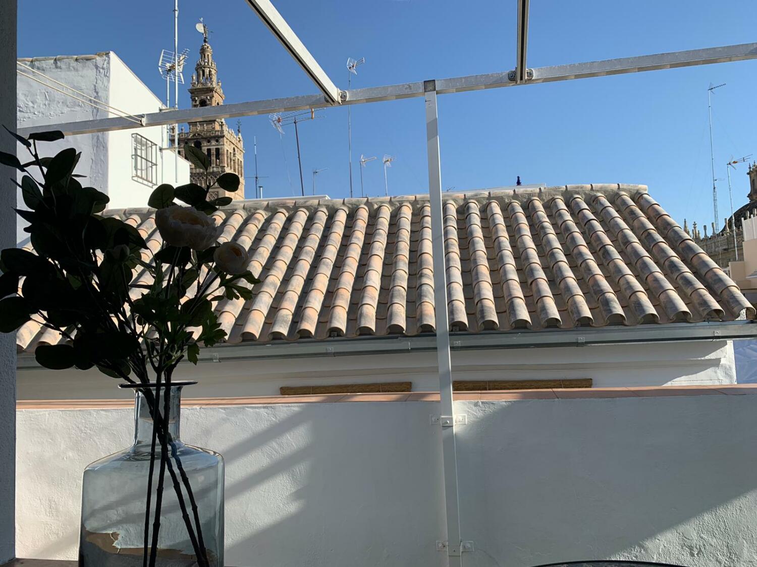 WhatsApp Image 2020-07-29 at 19.39.51.jpeg