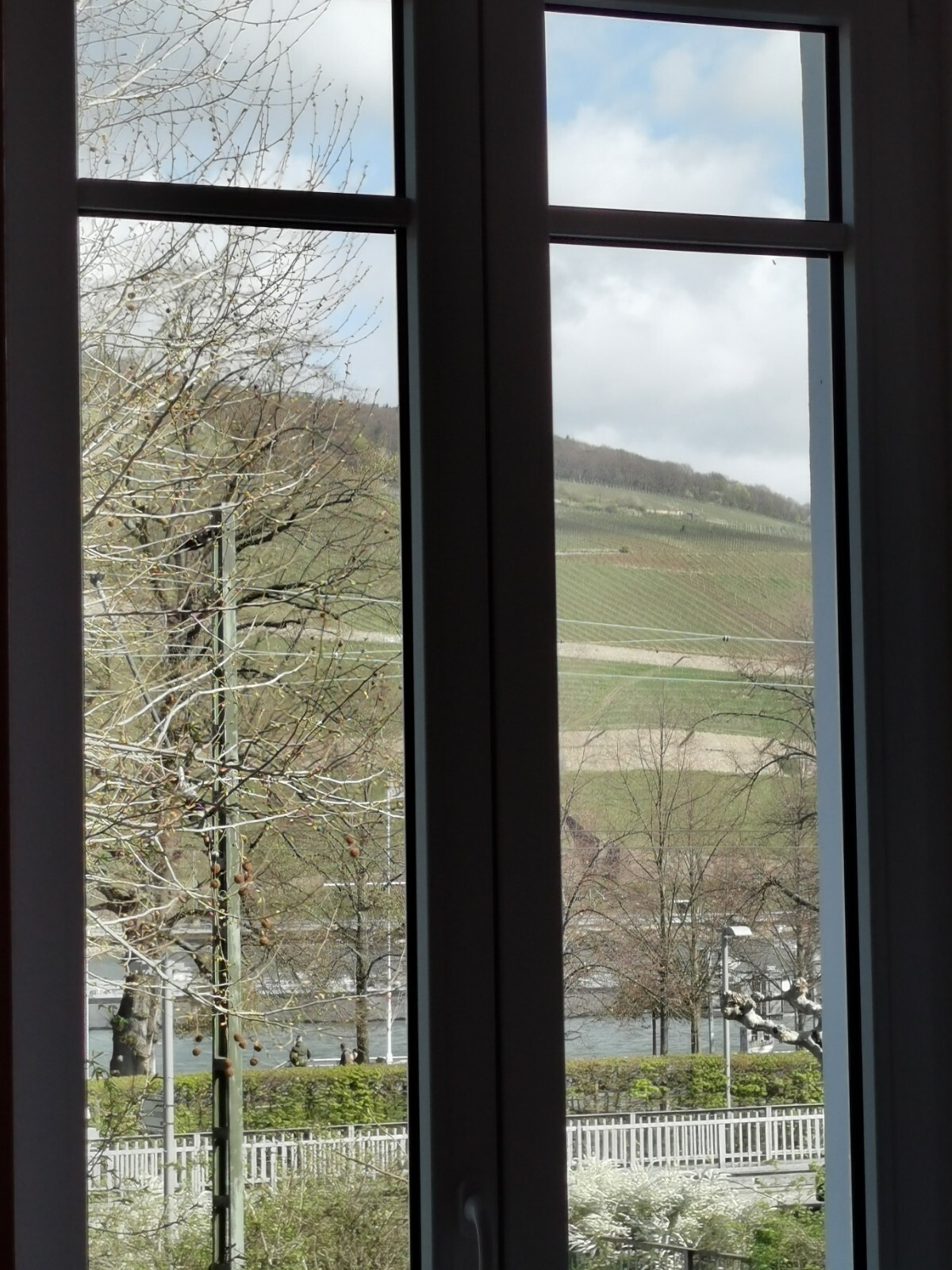 Wohnzimmer Ausblick.jpg