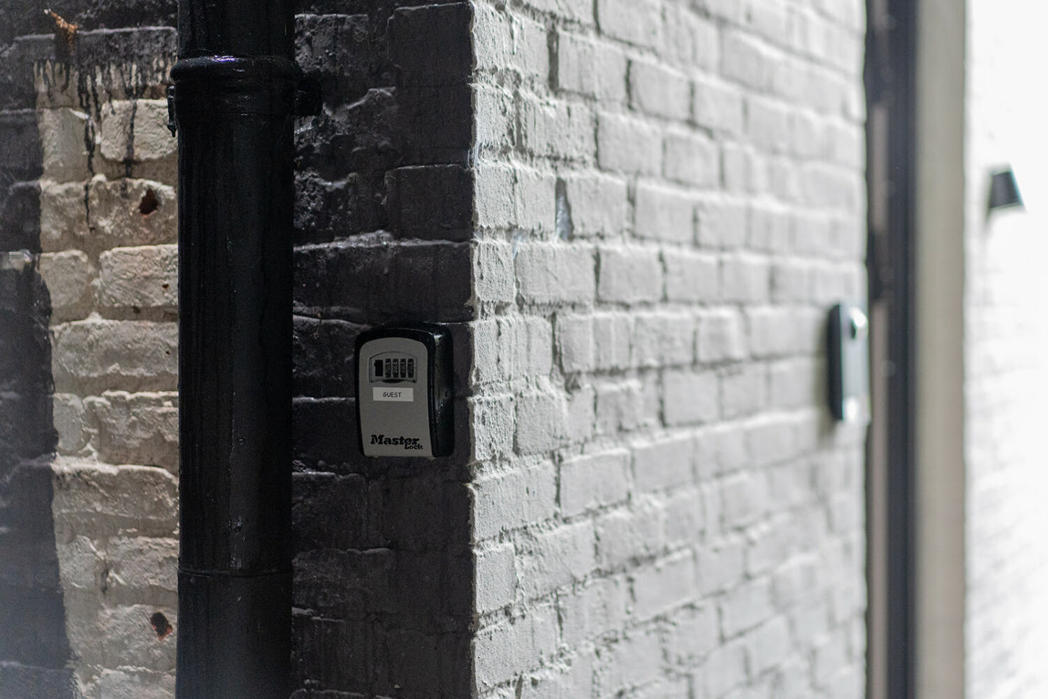 LE CORUMENT shoot 3 - niccola.be-71.jpg