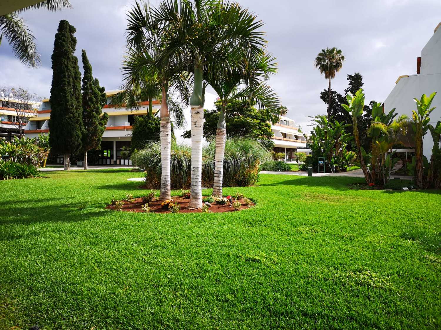 WhatsApp Image 2019-05-17 at 17.05.28(1).jpeg