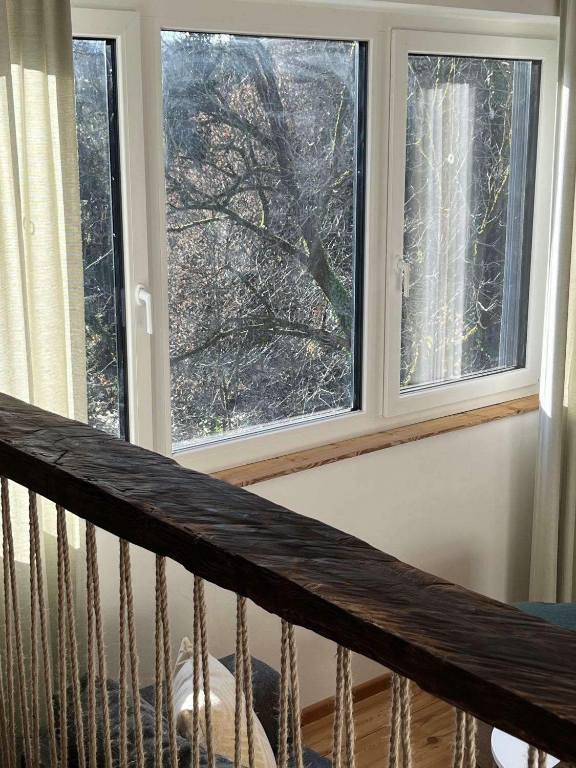 Bulla unten (24).JPG