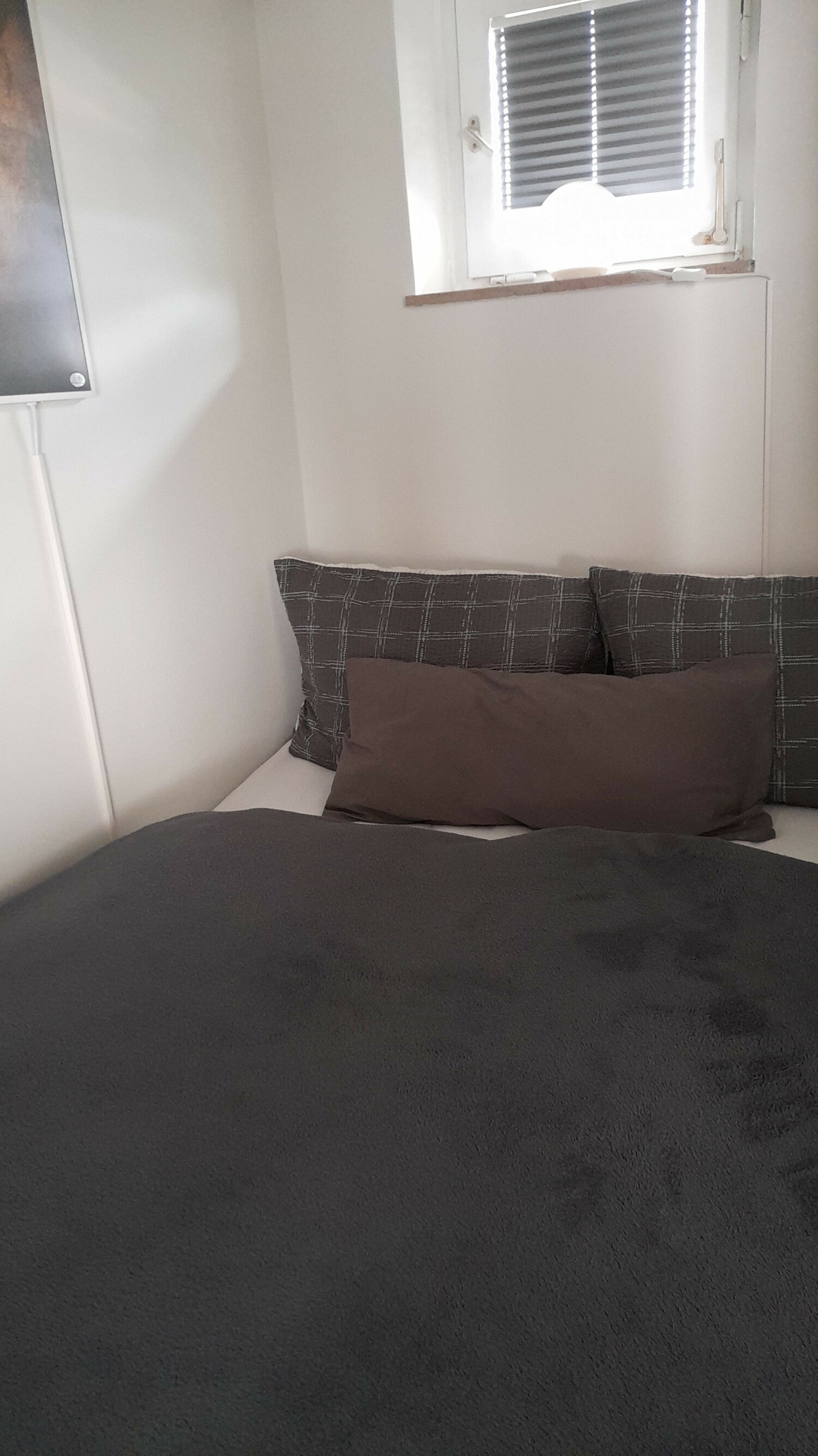 image_123923953 (1).JPG