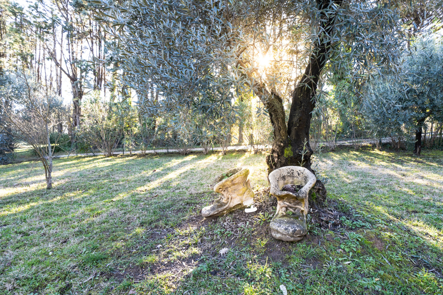 Ext Bréguiéres 4.JPG