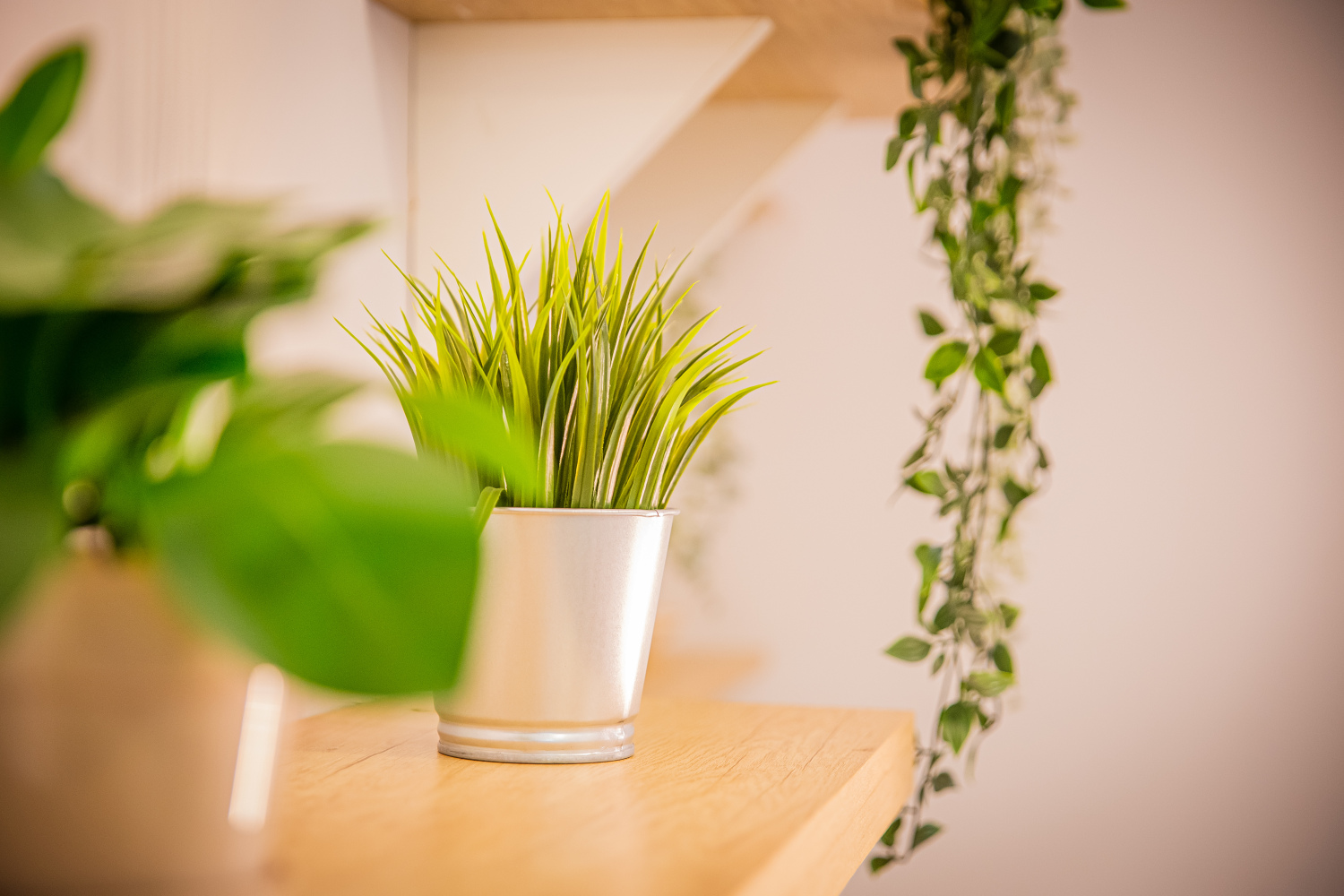 MEDIERAS 1_2B_25.jpg