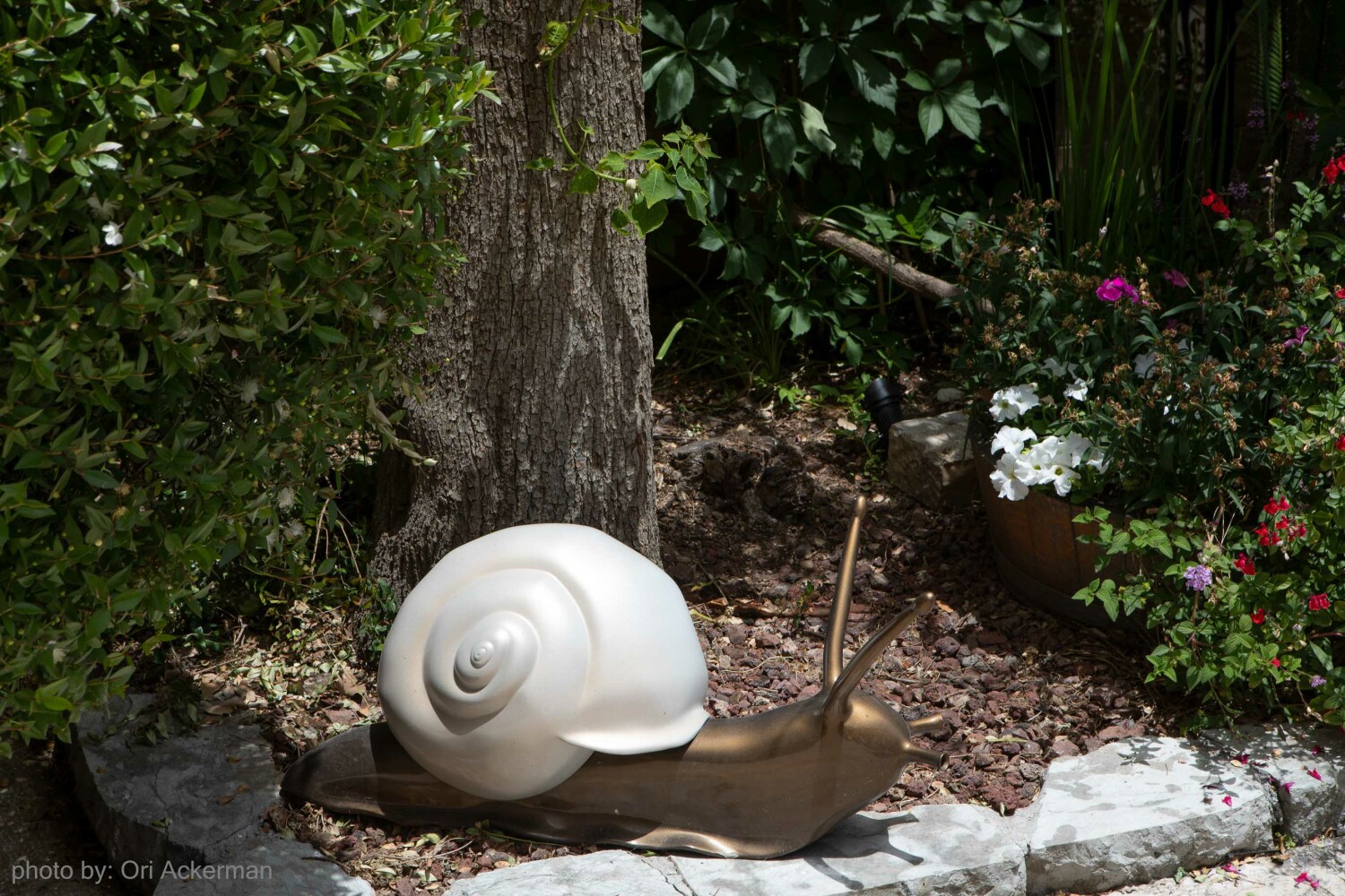 29--photo by Ori Ackerman ©.JPG