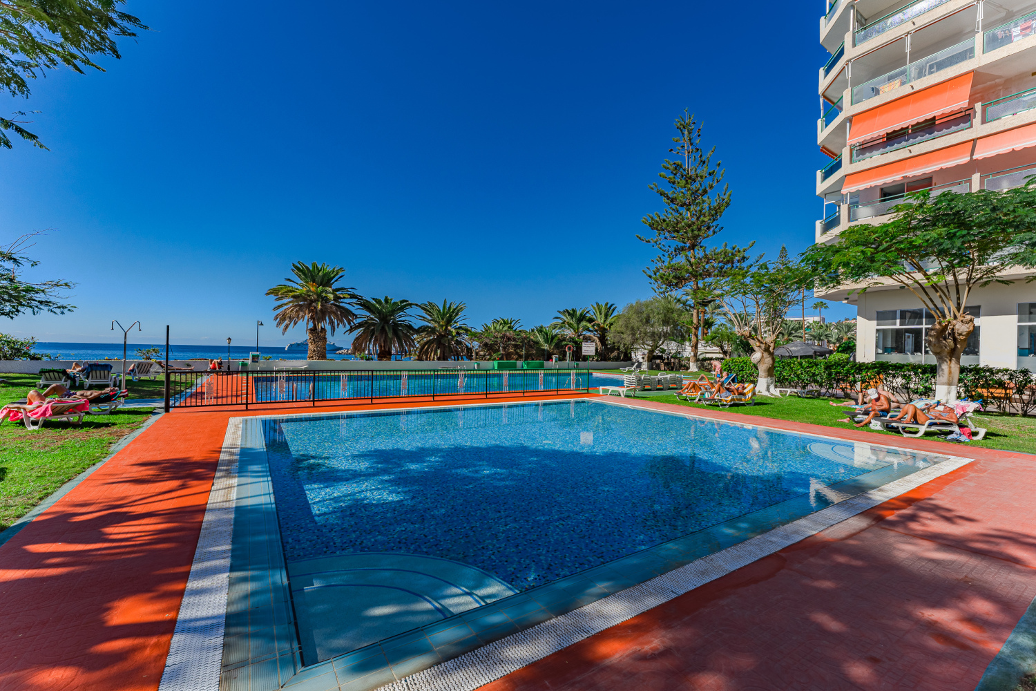 20231208 - 15 - Elfida - Los Cristianos-6.jpg