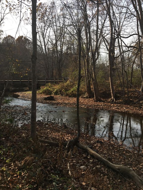 creek.jpg