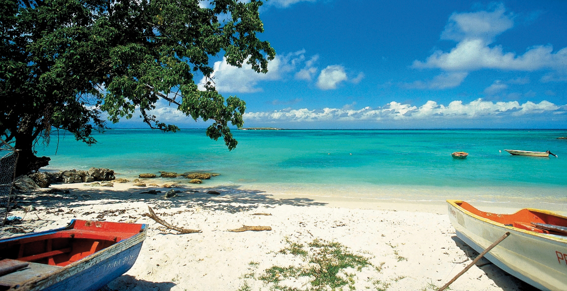 RDC Goyavier (35).jpg