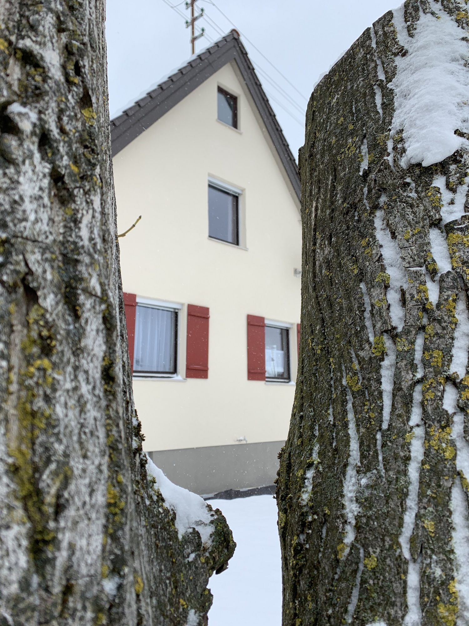 IMG_6515 kleiner.jpg