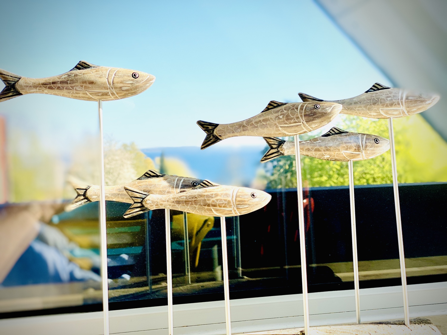 Foto 20.04.20, 17 41 06.jpg