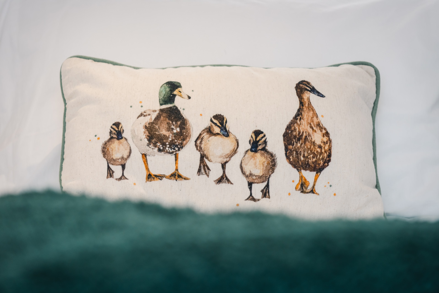 Garden Pod (Low Res)-20.jpg