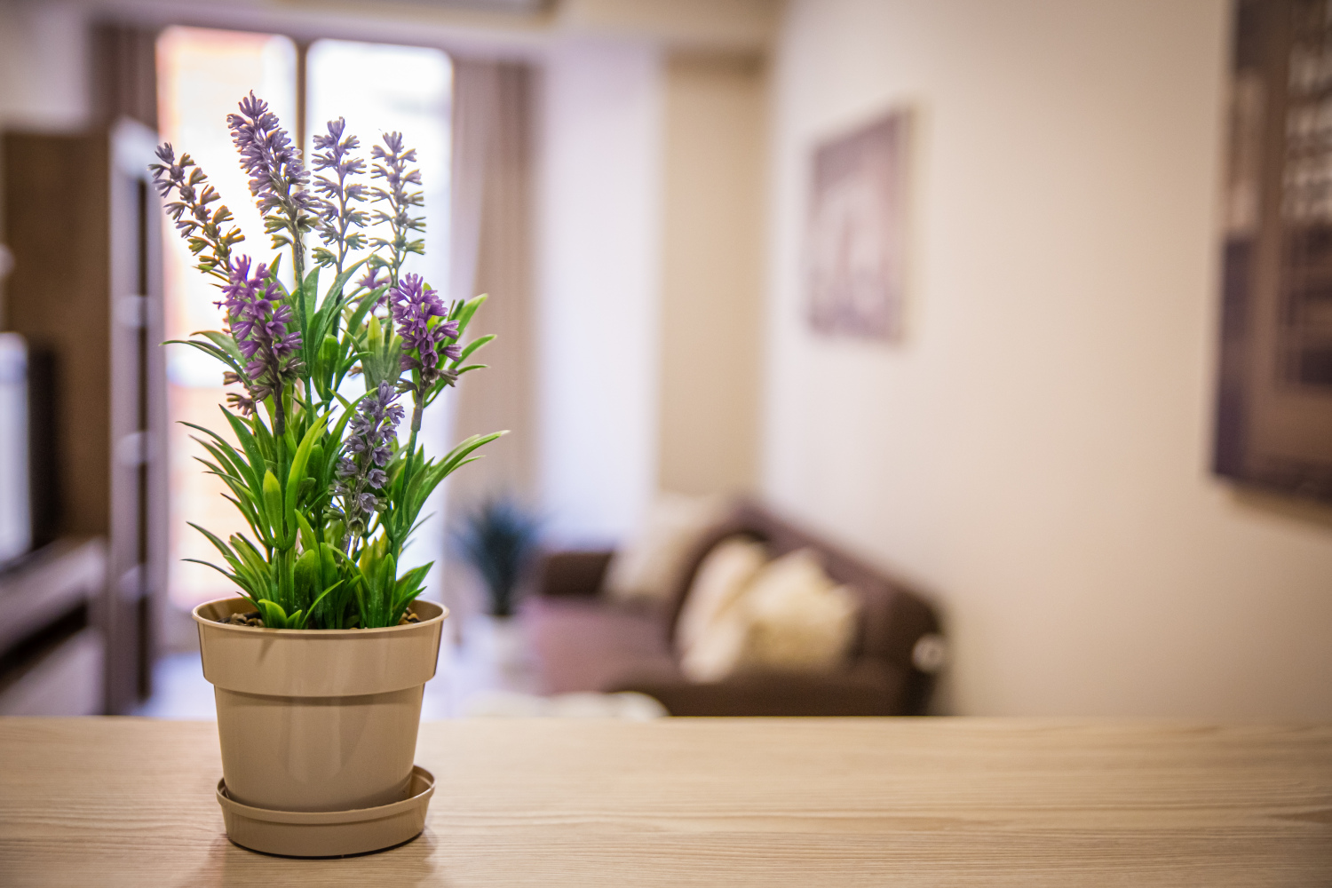 JABONERIAS 16_2A_22.jpg