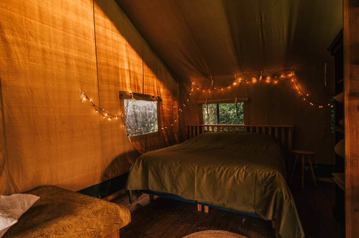 Thebrandwagon-11October 08, 2024163859.jpg