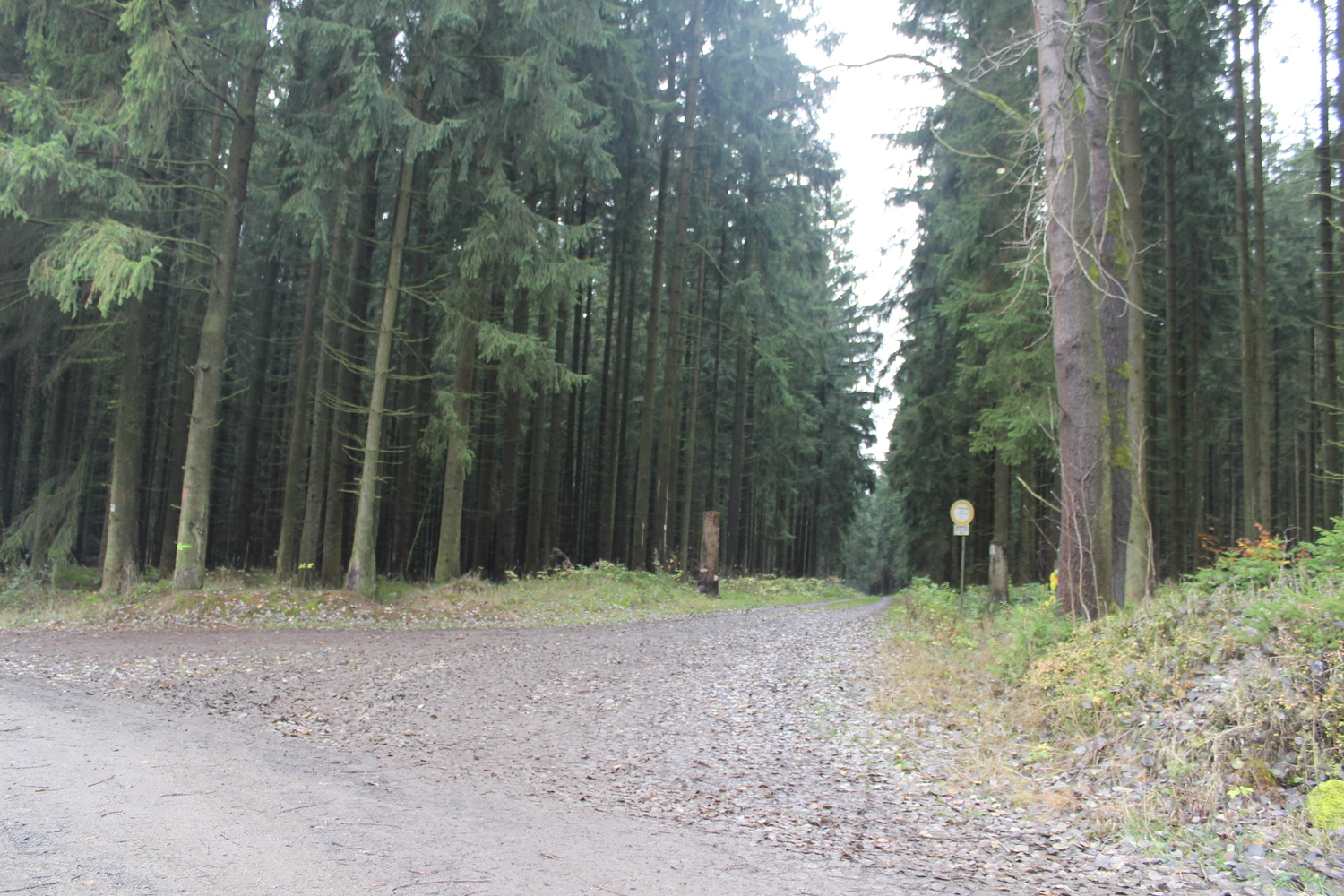 Natur Tanna (13).JPG