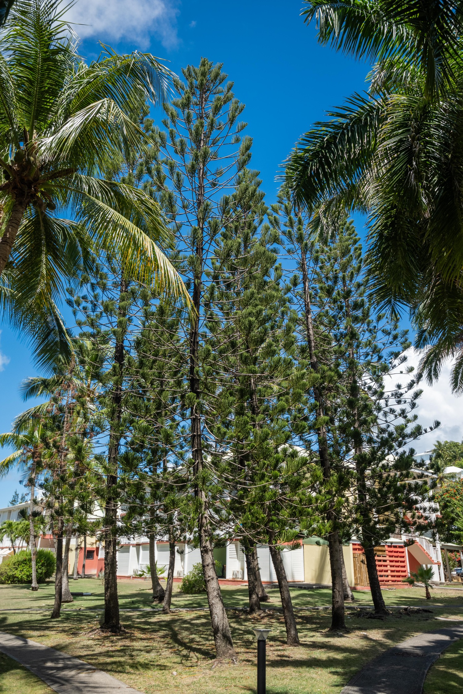 Studio Anse des Rochers 110424©JessicaLaguerre-0554.jpg