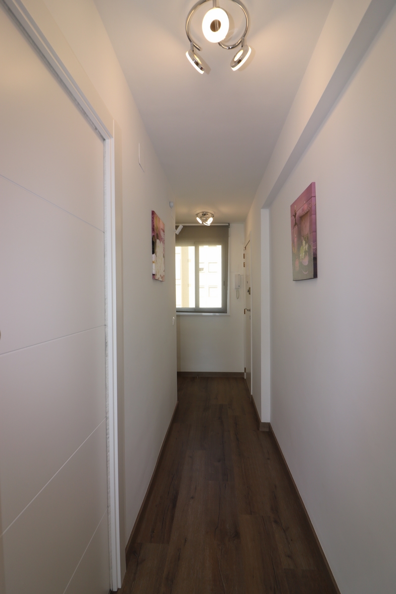 IMG_3841 - copia (Copiar).JPG