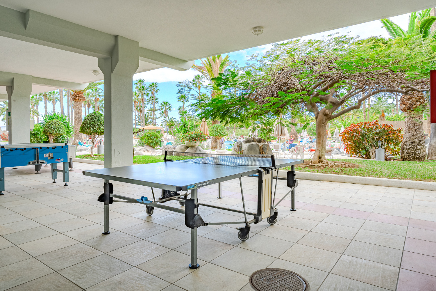 Altamira 415 23 Ping-pong.jpg