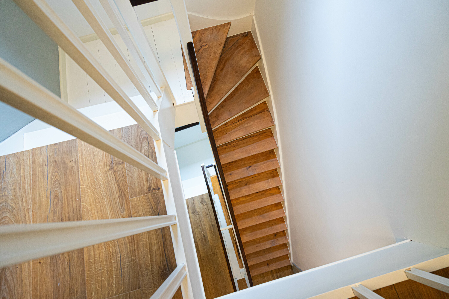 Li Rotch web-05640.jpg