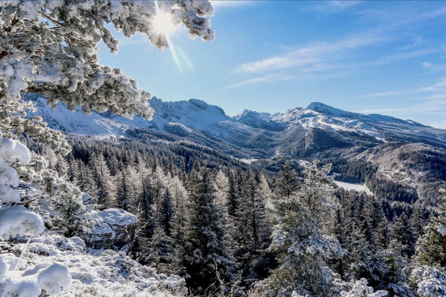 CleanShot 2023-12-20 at 13.55.28@2x.jpg