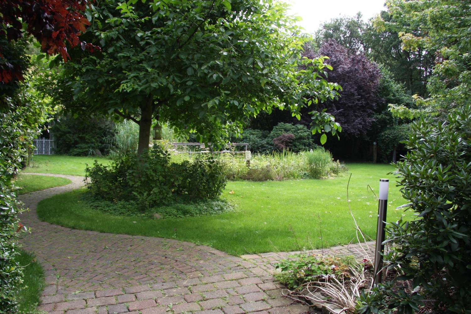 Blick in den Garten - Kopie.jpg