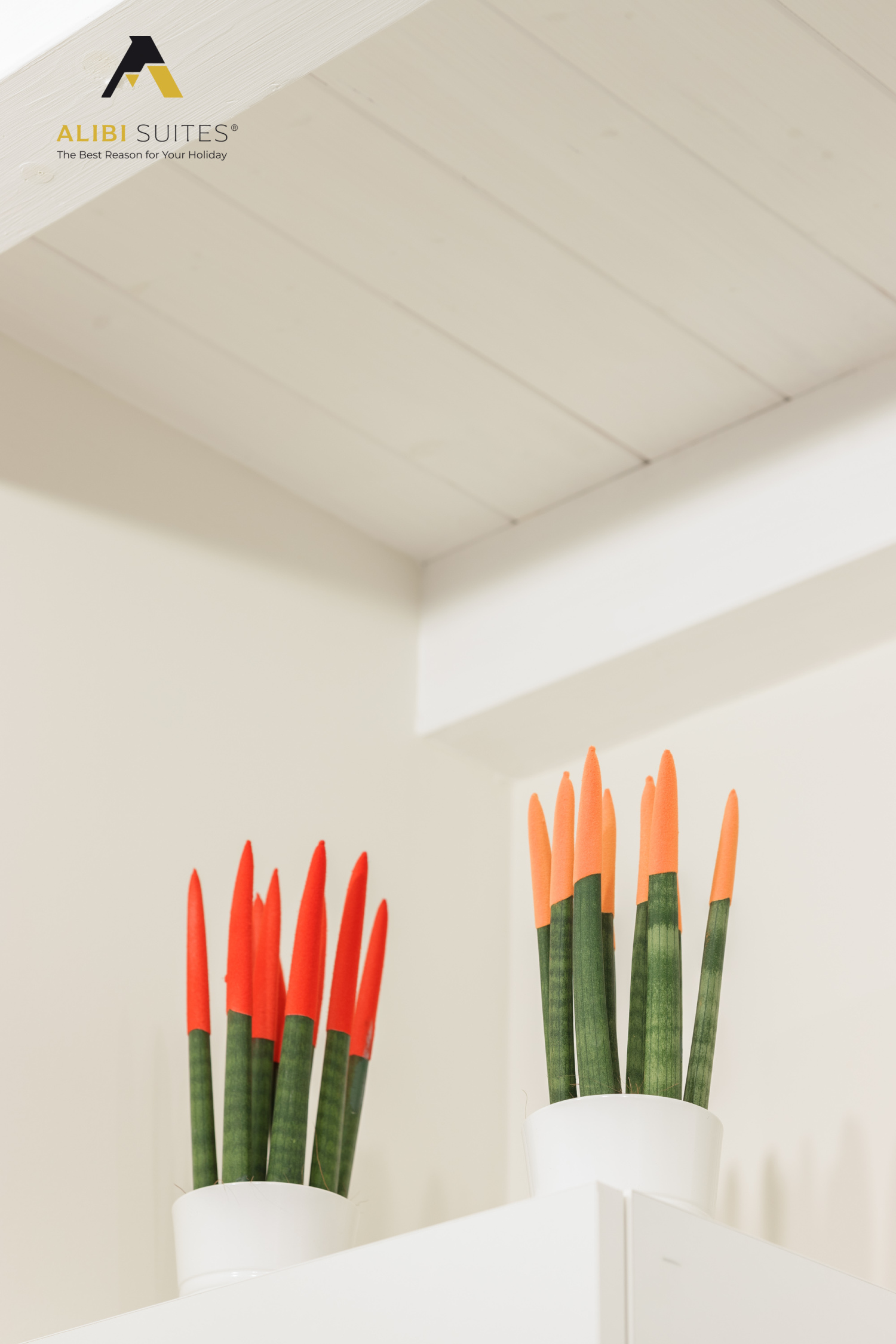 alibi suites-283.jpg