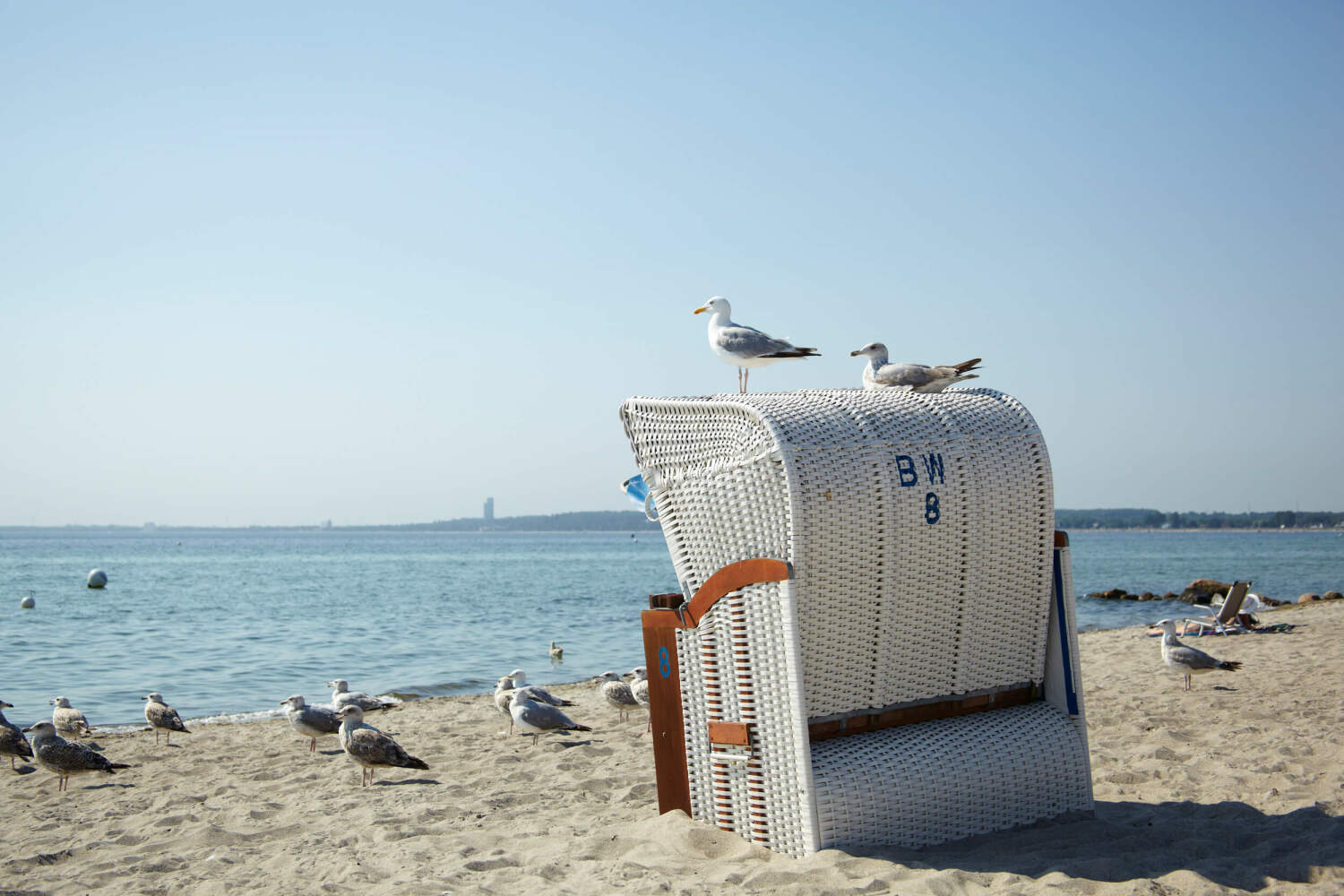 Foto 17.02.20, 22 29 03.jpg