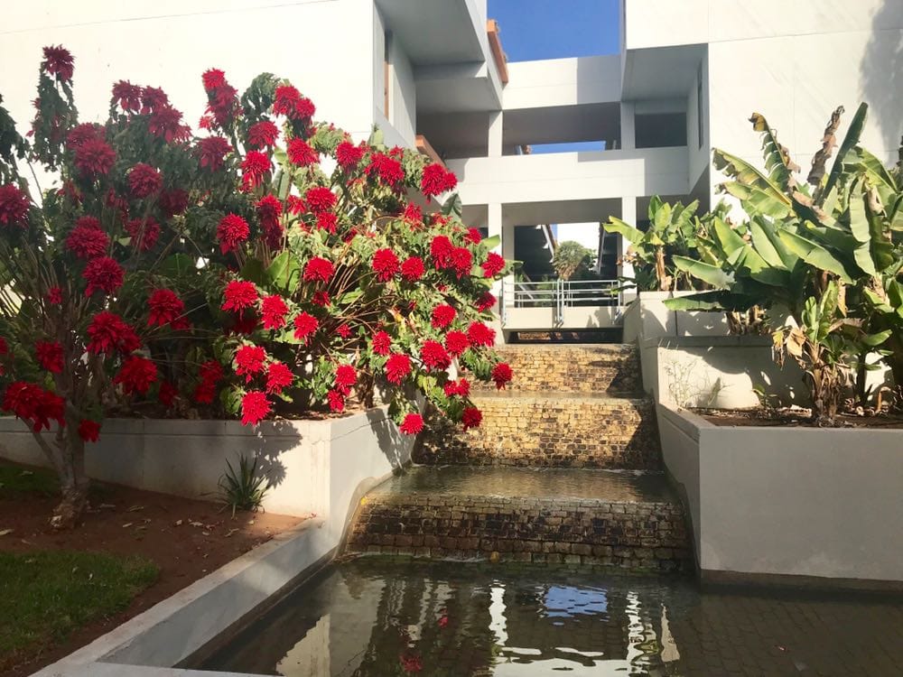 WhatsApp Image 2019-05-17 at 17.11.58(3).jpeg