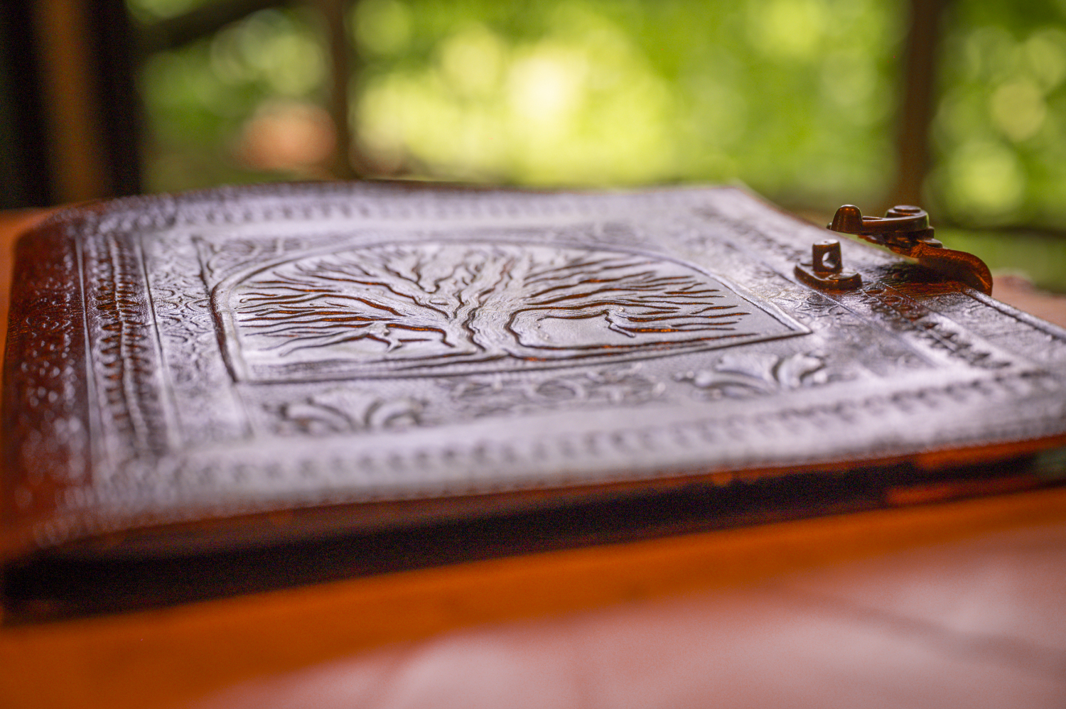 pat' de l'ours-82.JPG