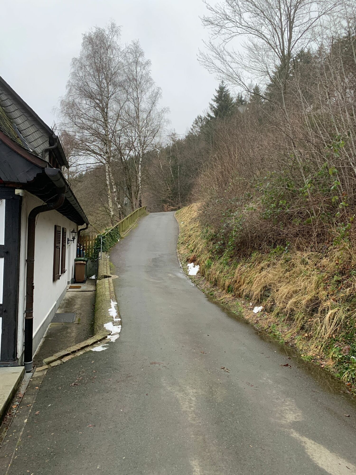 WhatsApp Image 2022-01-21 at 07.30.06(1).jpeg