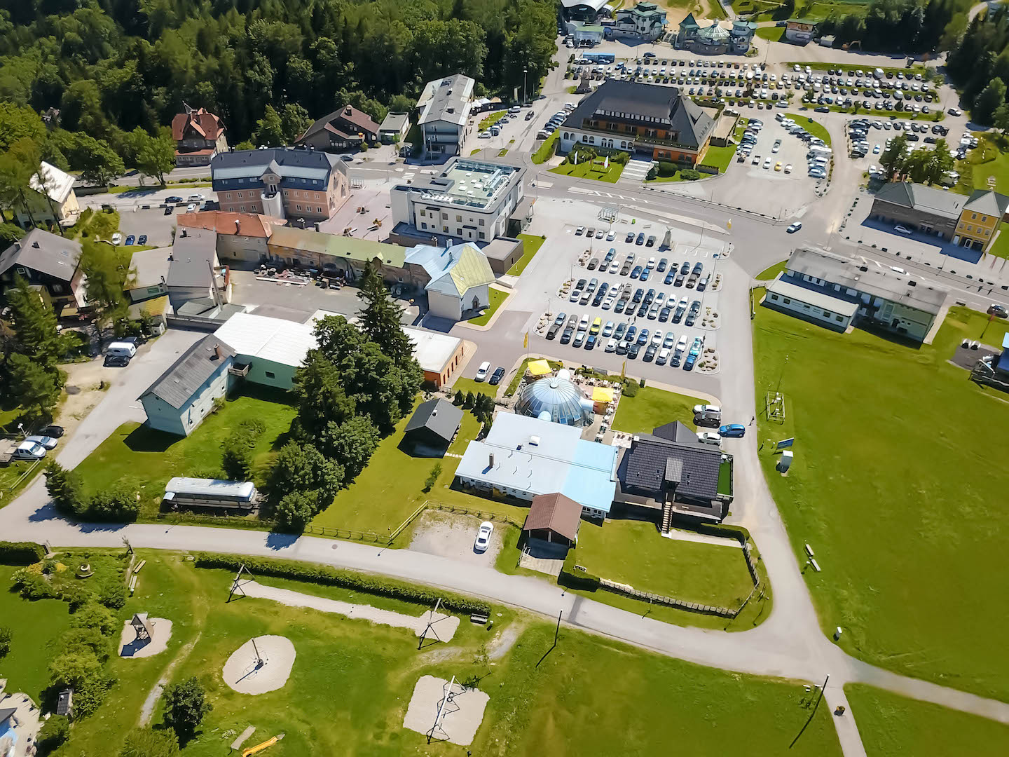 Bearbeitet - Pinguin VP (2).jpg