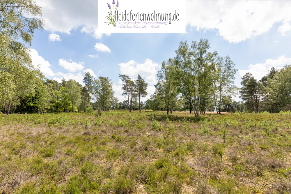 Heideferienwohnung Logo 28.jpg