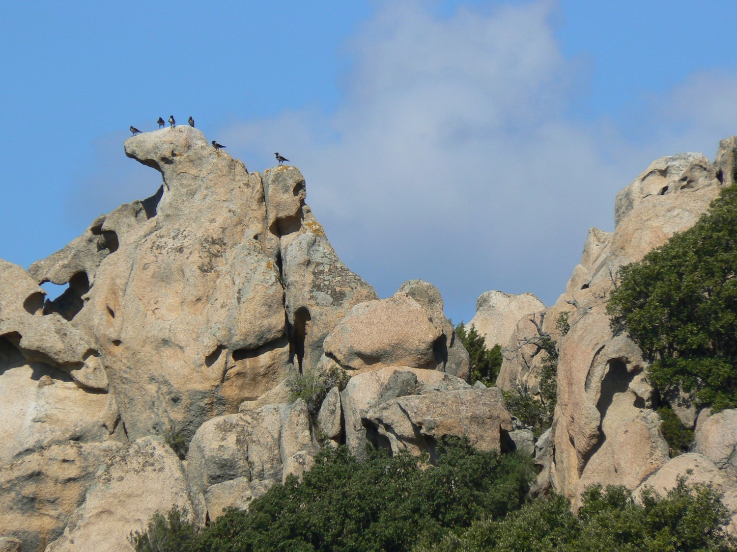 %Tizzano 14_10_02_10_33-002.jpg