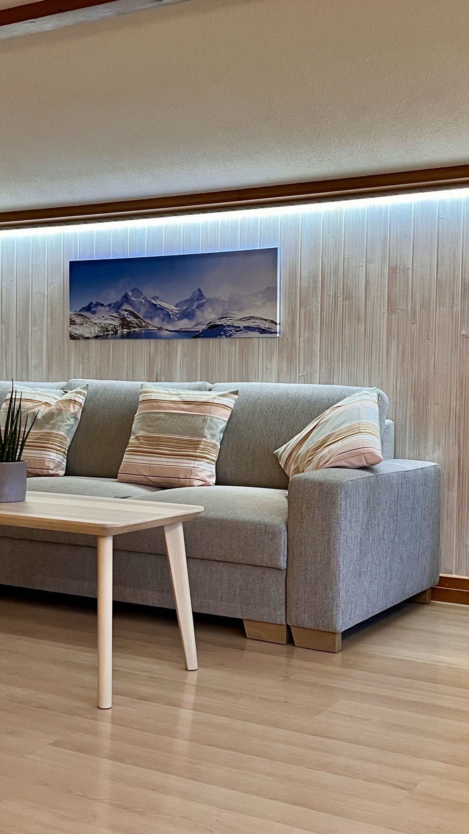 Kopie von IMG_7701.jpeg